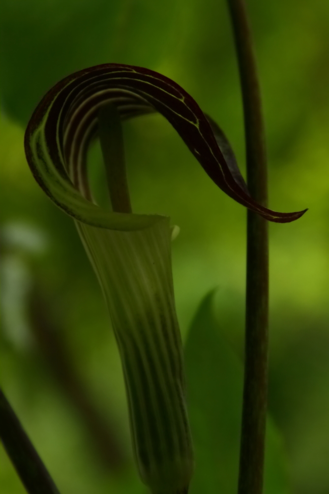 2012 05 08 2177